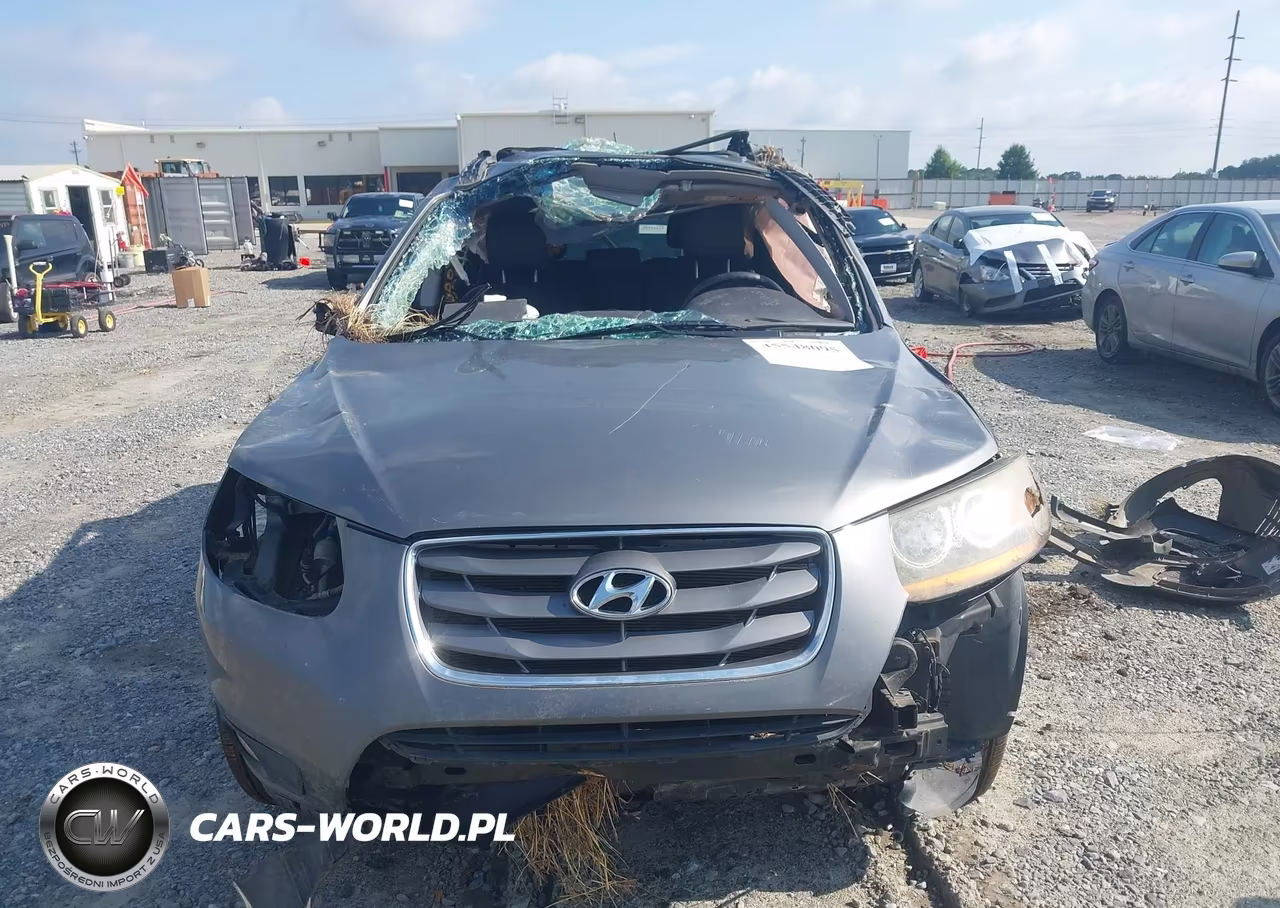 2010 Hyundai Santa Fe Limited V6 VIN:5NMSK4AGXAH372839 - 12