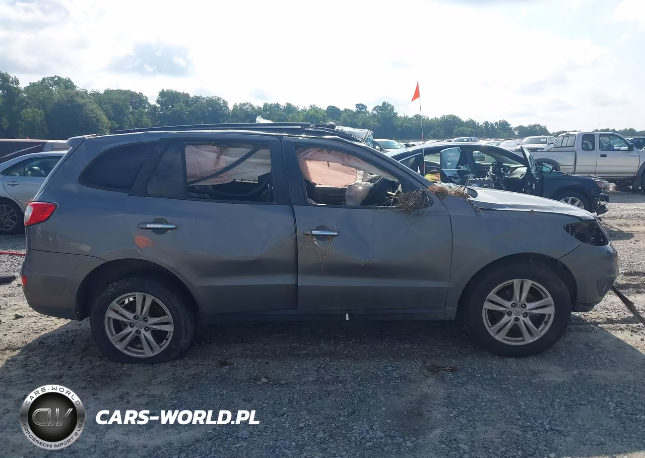 2010 Hyundai Santa Fe Limited V6 VIN:5NMSK4AGXAH372839 - 13
