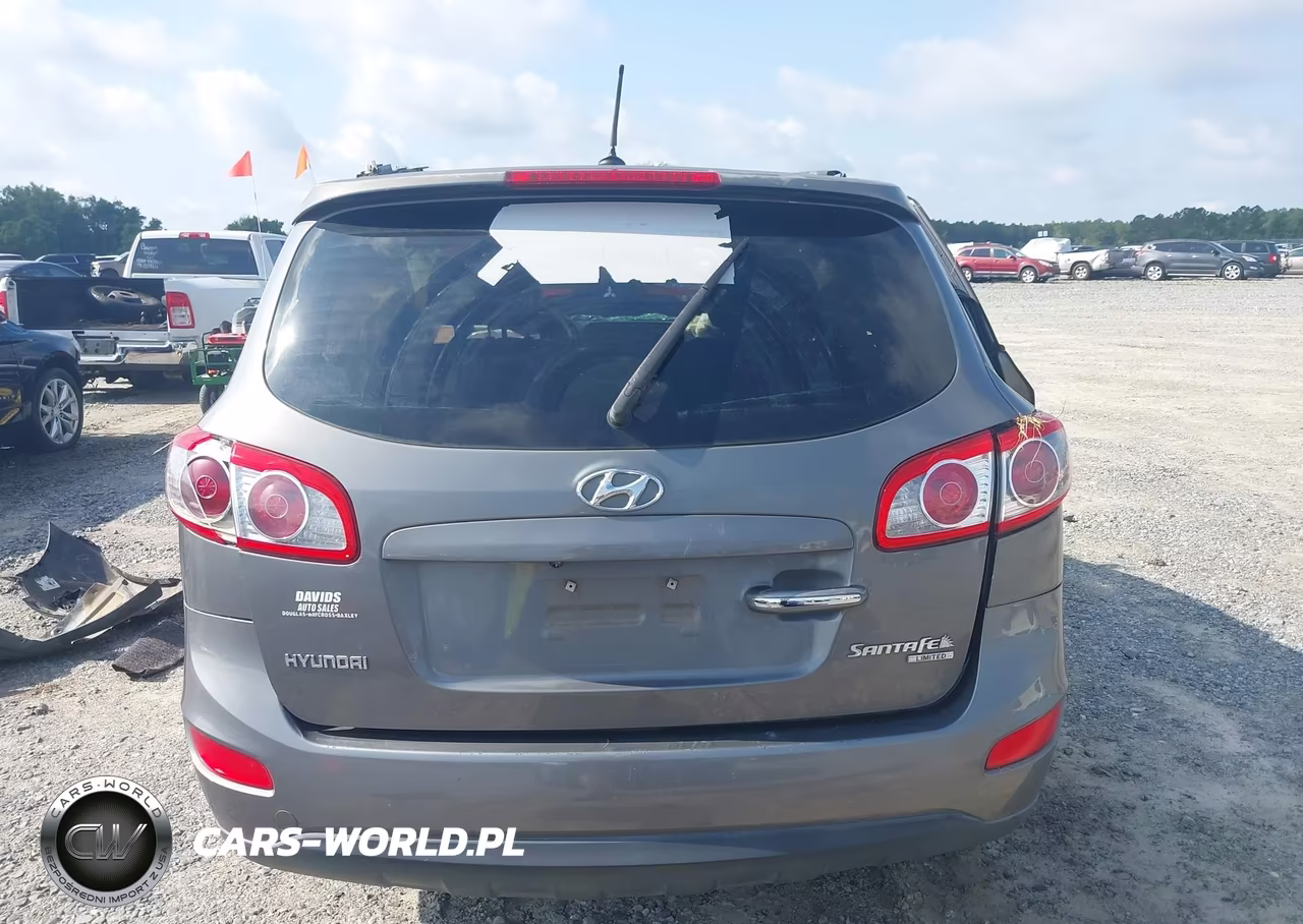 2010 Hyundai Santa Fe Limited V6 VIN:5NMSK4AGXAH372839 - 16