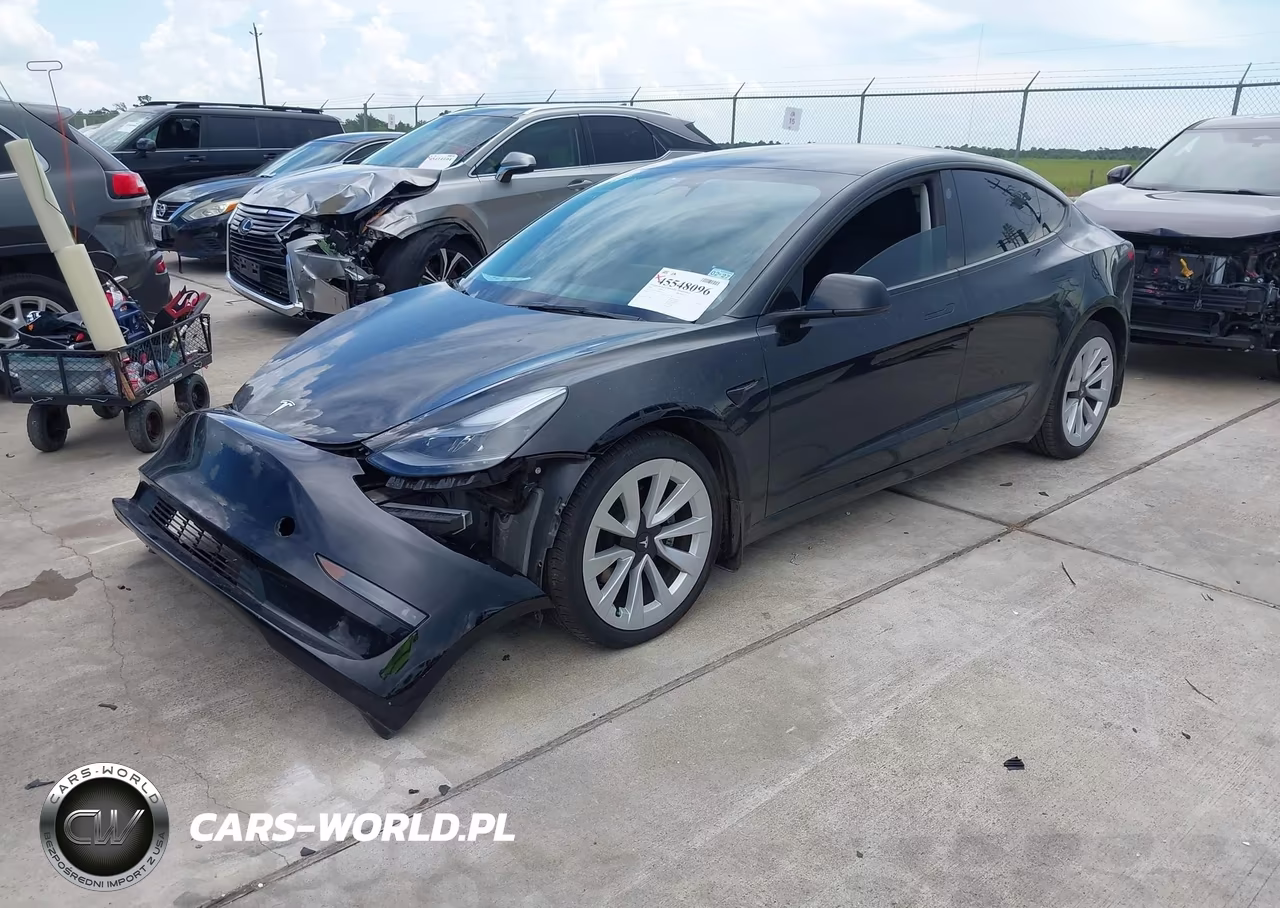 2023 Tesla Model 3 Rear-Wheel Drive VIN:5YJ3E1EA2PF492595 - 2