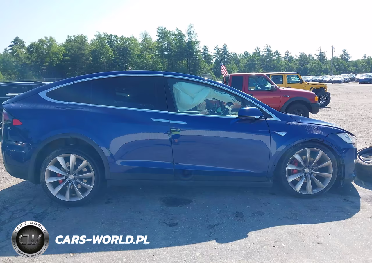2016 Tesla Model X VIN:5YJXCAE4XGFS00791 - 13