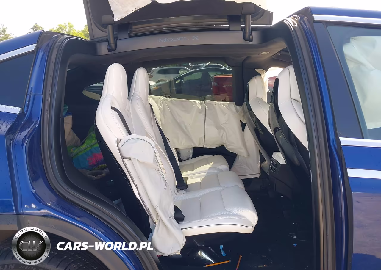 2016 Tesla Model X VIN:5YJXCAE4XGFS00791 - 8