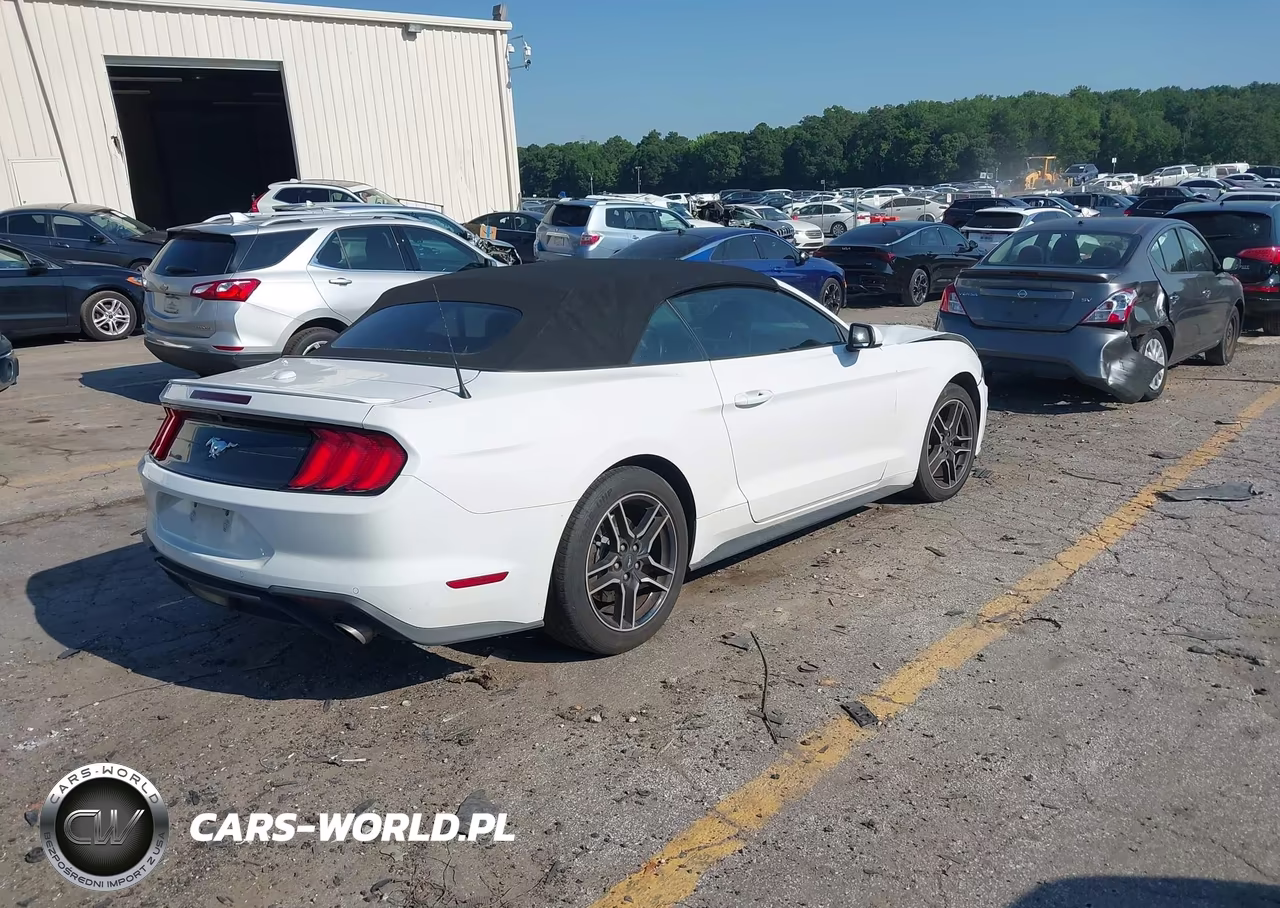 2021 Ford Mustang Ecoboost -Ecoboost Premium VIN:1FATP8UH4M5121037 - 4