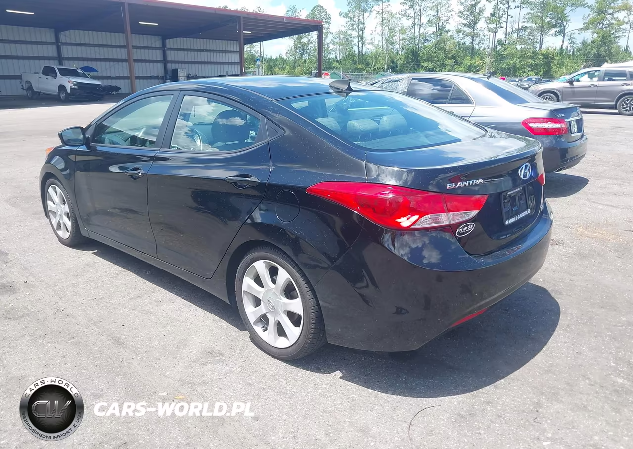 2013 Hyundai Elantra Limited VIN:KMHDH4AE5DU616976 - 3