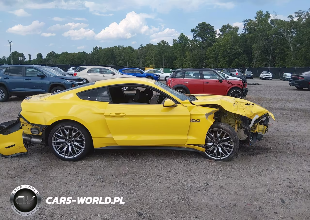 2016 Ford Mustang Gt-Gt Premium VIN:1FA6P8CF4G5232057 - 13