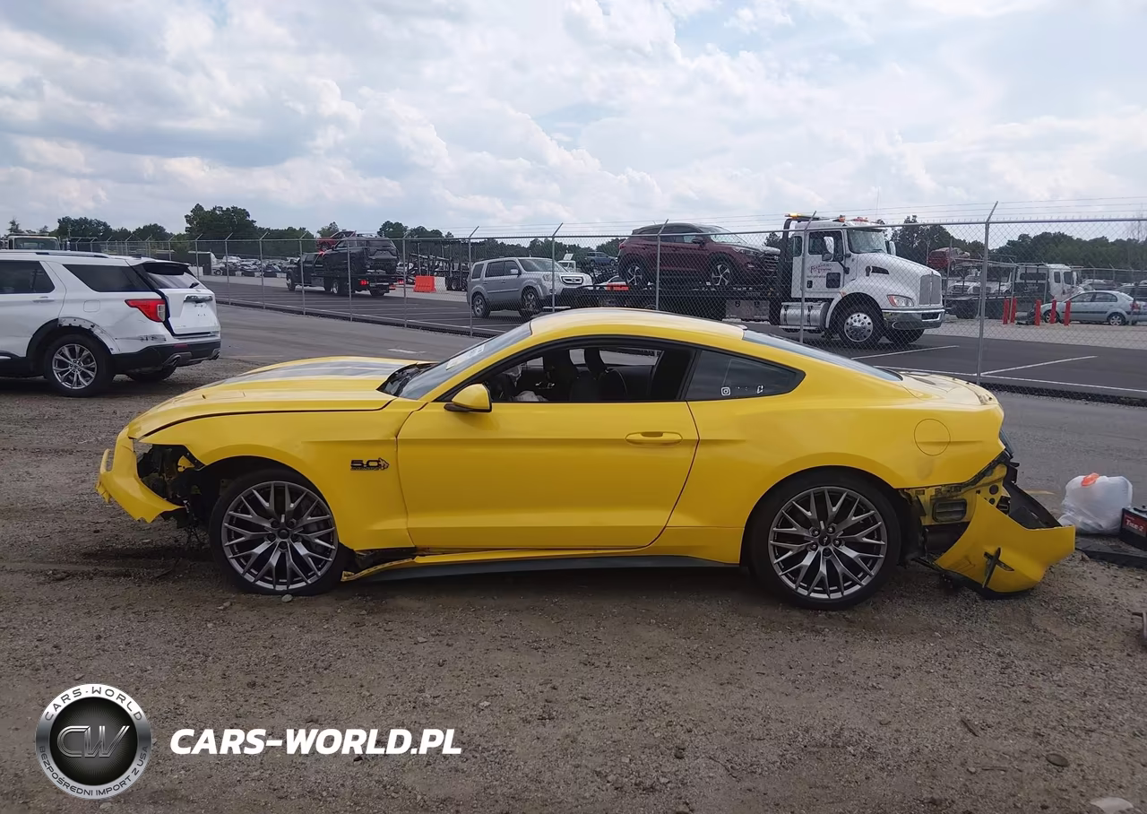 2016 Ford Mustang Gt-Gt Premium VIN:1FA6P8CF4G5232057 - 14