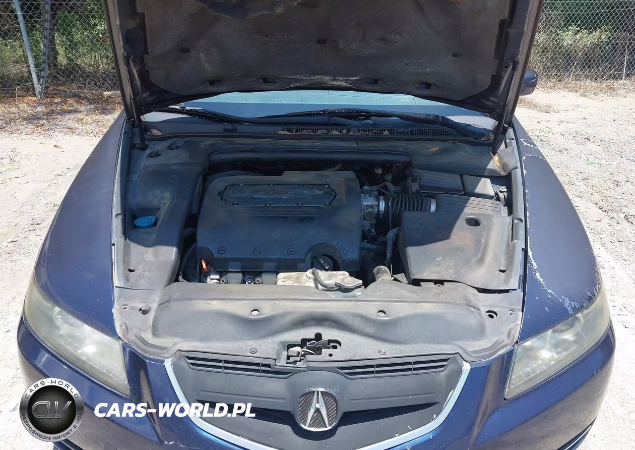 2004 Acura Tl VIN:19UUA662X4A020686 - 10