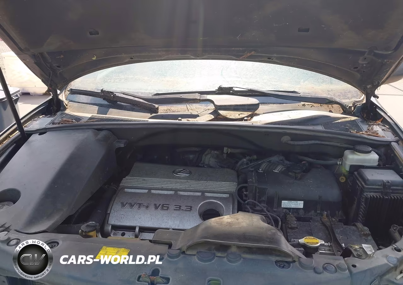 2006 Lexus Rx 330 VIN:2T2HA31U86C103891 - 10