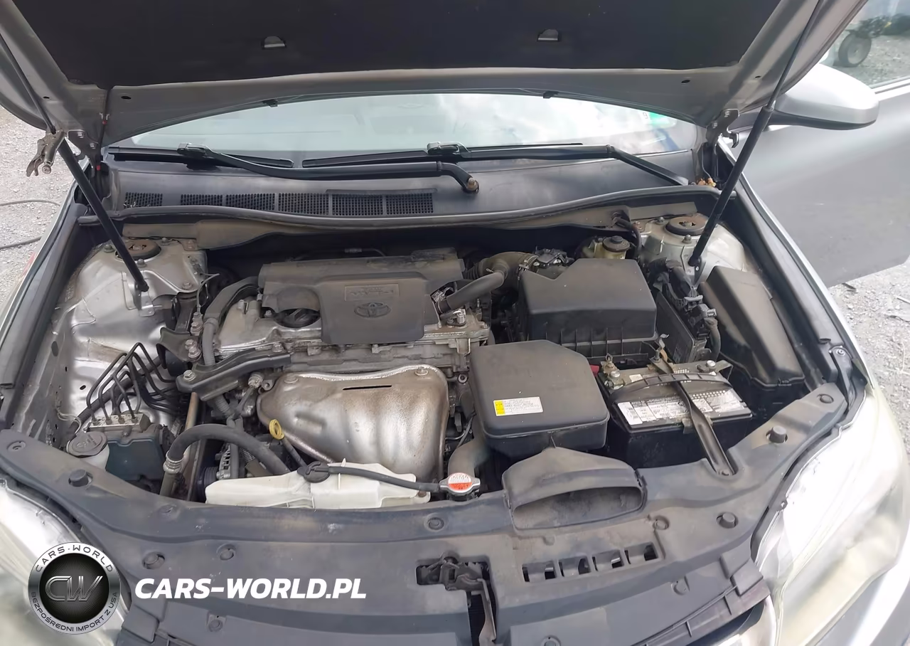 2016 Toyota Camry Se VIN:4T1BF1FKXGU174937 - 10