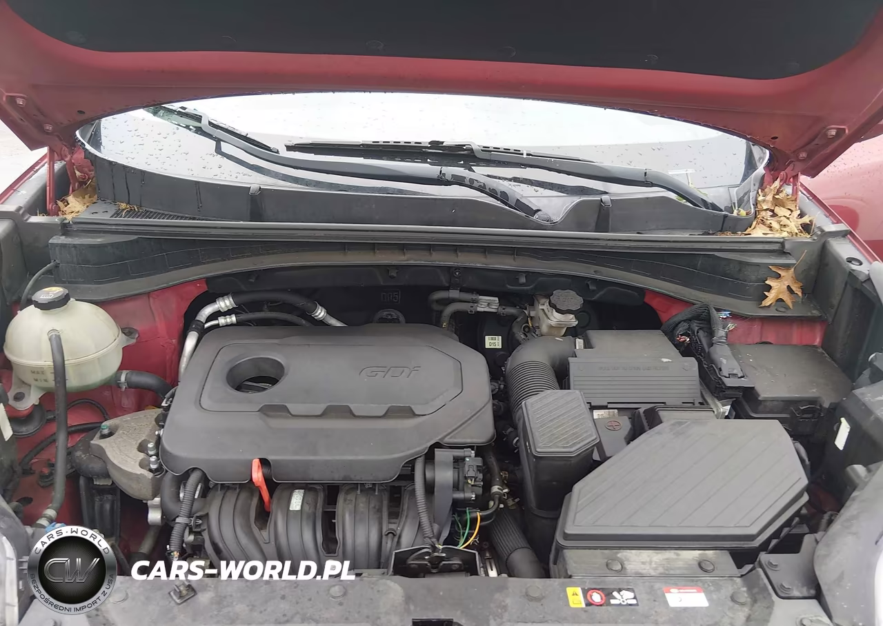 2019 Kia Sportage Lx VIN:KNDPM3AC8K7558668 - 10