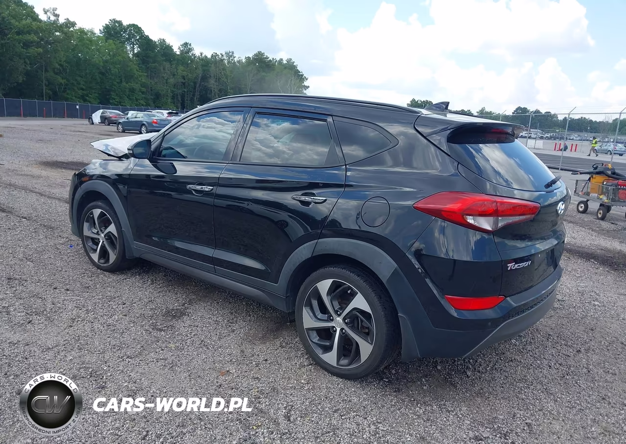 2016 Hyundai Tucson Limited VIN:KM8J33A27GU046906 - 3