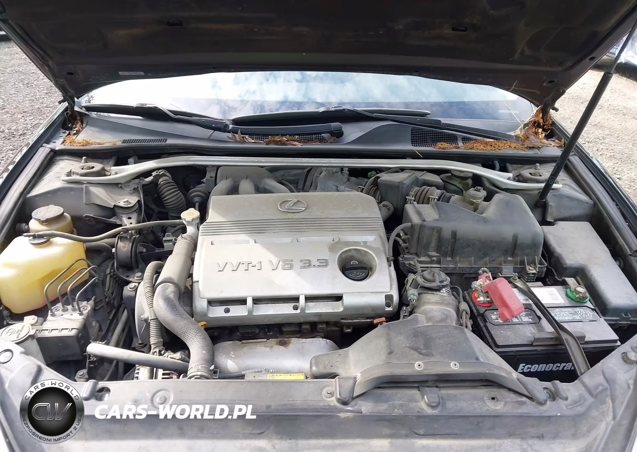 2006 Lexus Es 330 VIN:JTHBA30G565176136 - 10