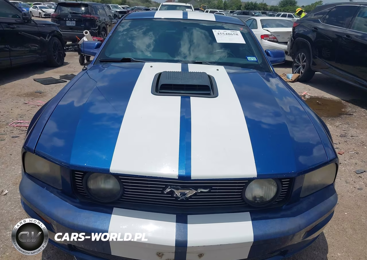 2008 Ford Mustang Gt Deluxe-Gt Premium VIN:1ZVHT82H685126872 - 12