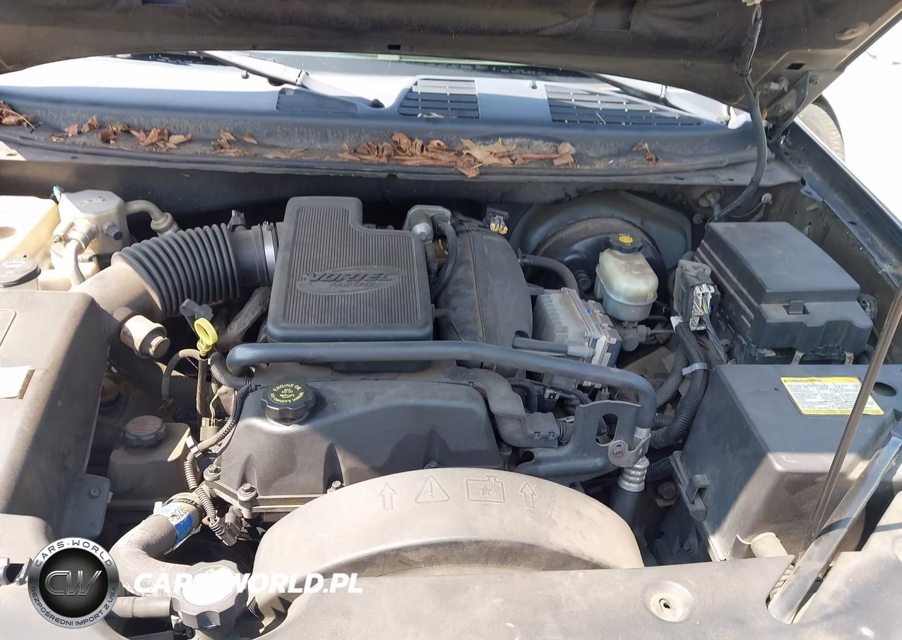 2002 Chevrolet Trailblazer Ls VIN:1GNDS13S822363918 - 10