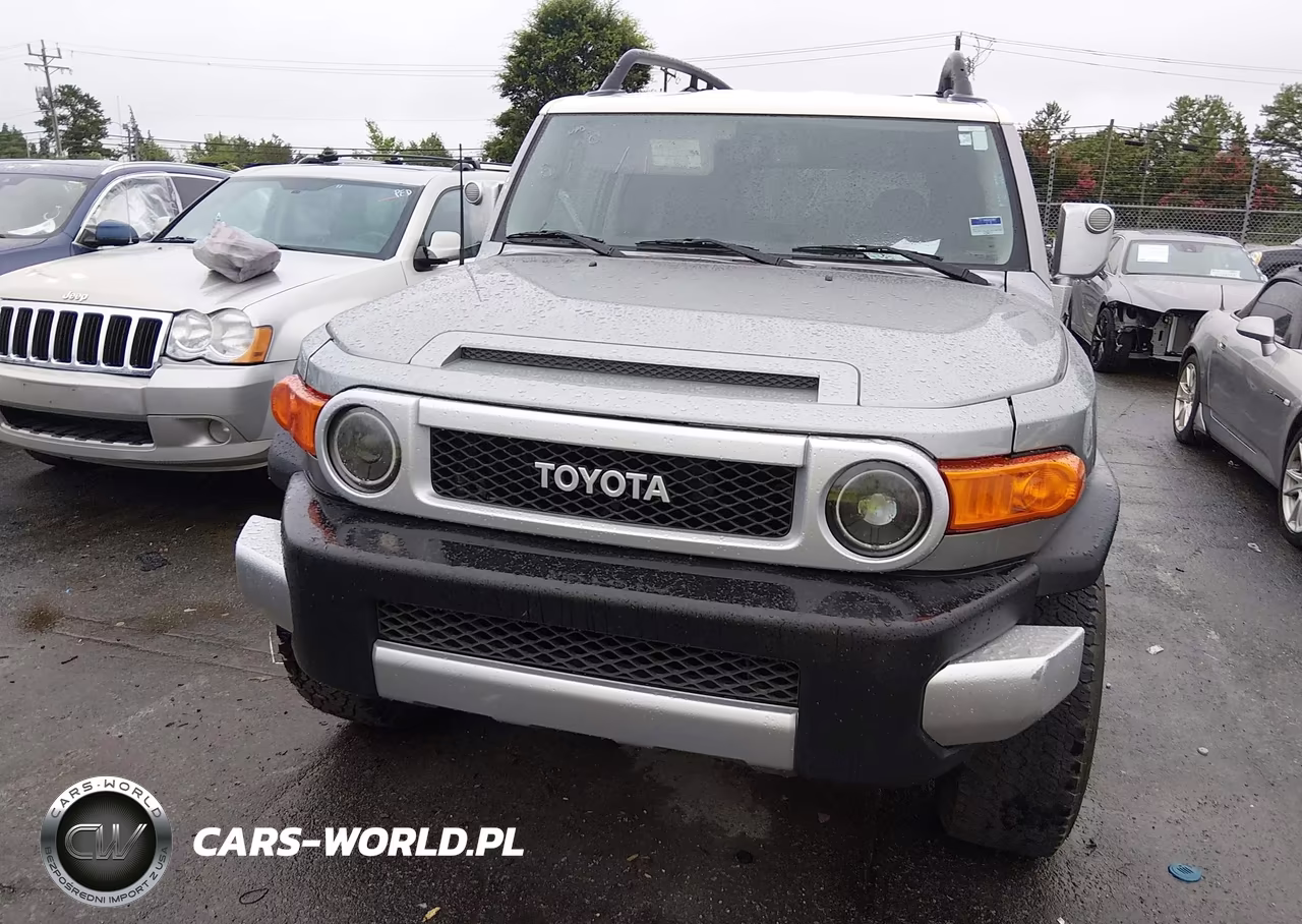 2009 Toyota Fj Cruiser VIN:JTEZU11F79K008372 - 13