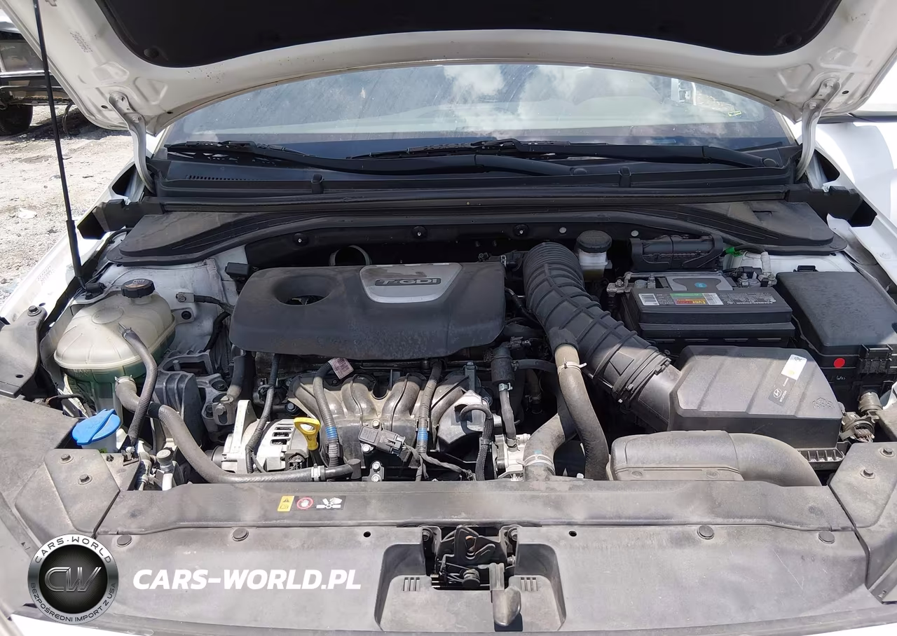2020 Hyundai Elantra Sport VIN:KMHD04LB1LU979770 - 10