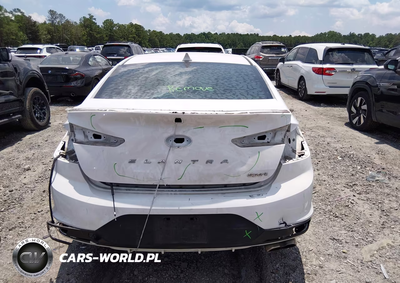 2020 Hyundai Elantra Sport VIN:KMHD04LB1LU979770 - 17