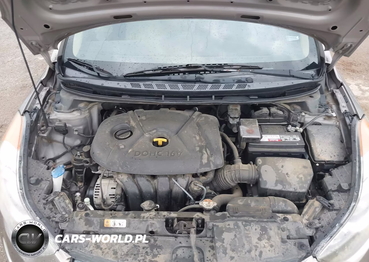 2013 Hyundai Elantra Gls VIN:5NPDH4AEXDH318115 - 10