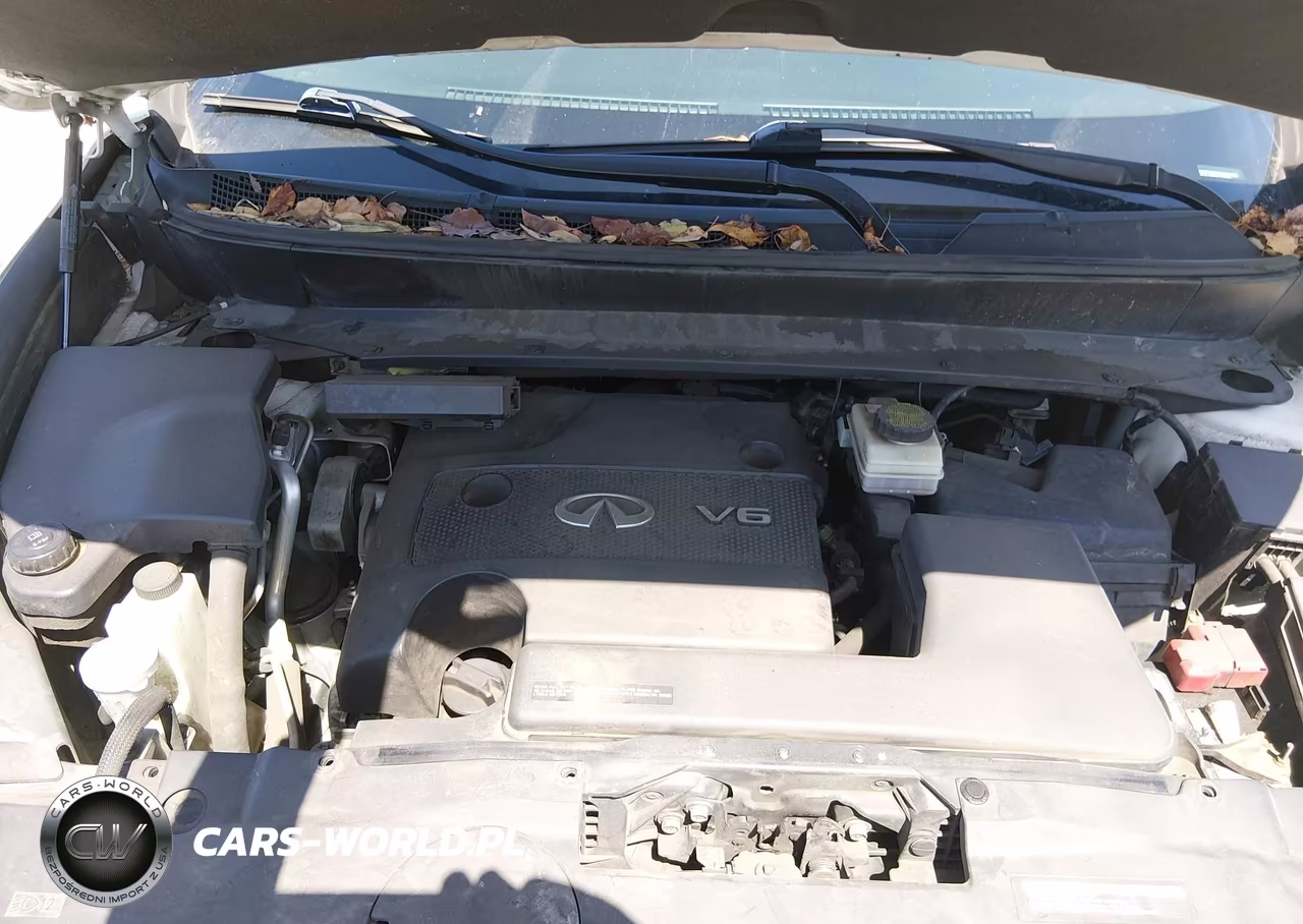 2014 Infiniti Qx60 VIN:5N1AL0MM6EC520942 - 10
