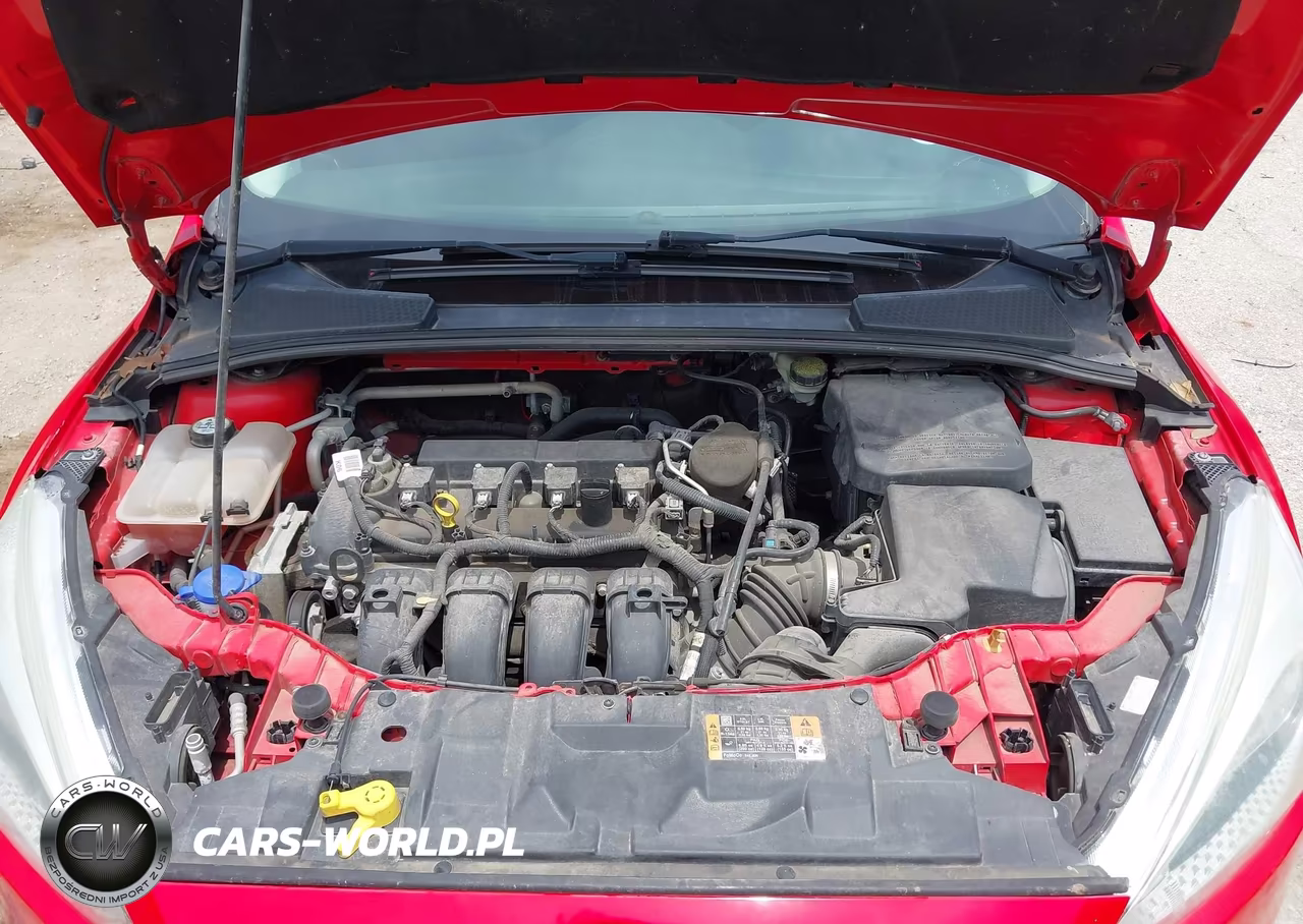 2015 Ford Focus Se VIN:1FADP3F20FL242808 - 10