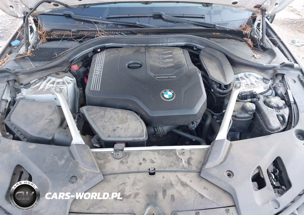 2020 BMW 530I xDrive VIN:WBAJR7C04LWW77713 - 10