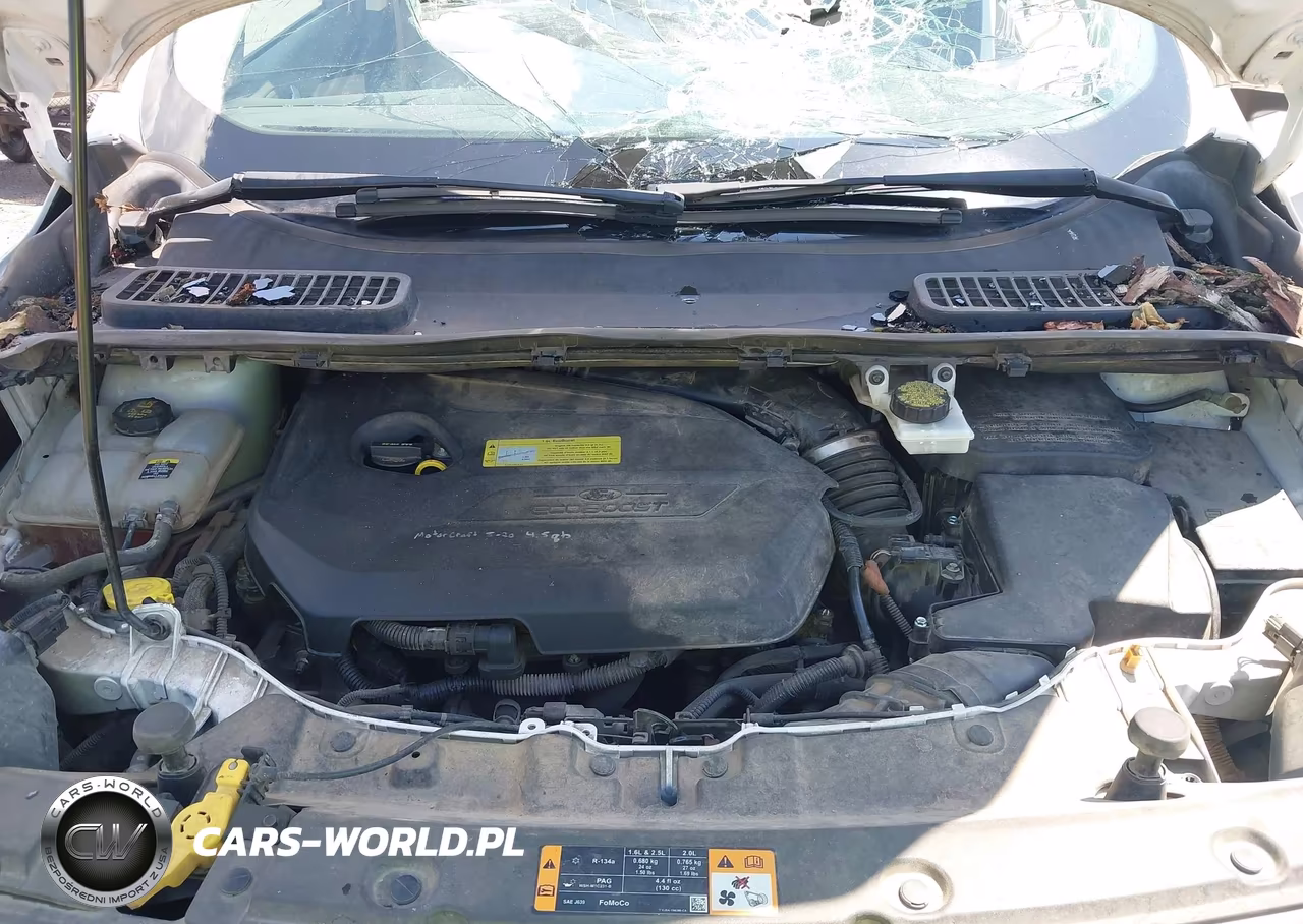 2013 Ford Escape Sel VIN:1FMCU0HX1DUC12502 - 10