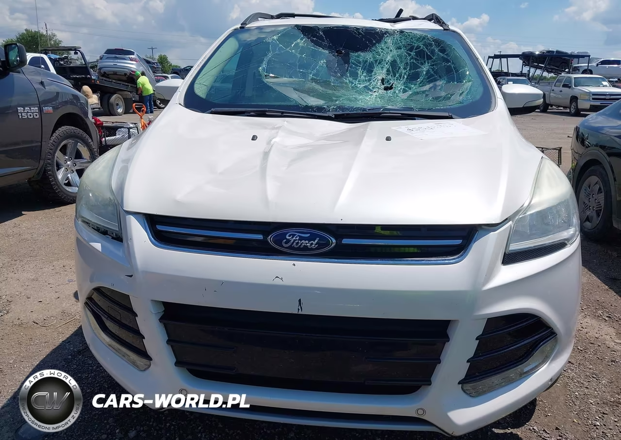 2013 Ford Escape Sel VIN:1FMCU0HX1DUC12502 - 12