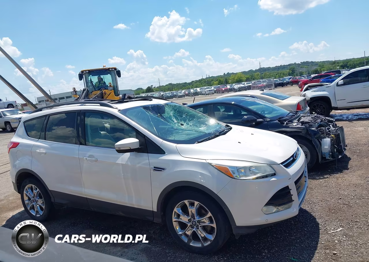 2013 Ford Escape Sel VIN:1FMCU0HX1DUC12502 - 13