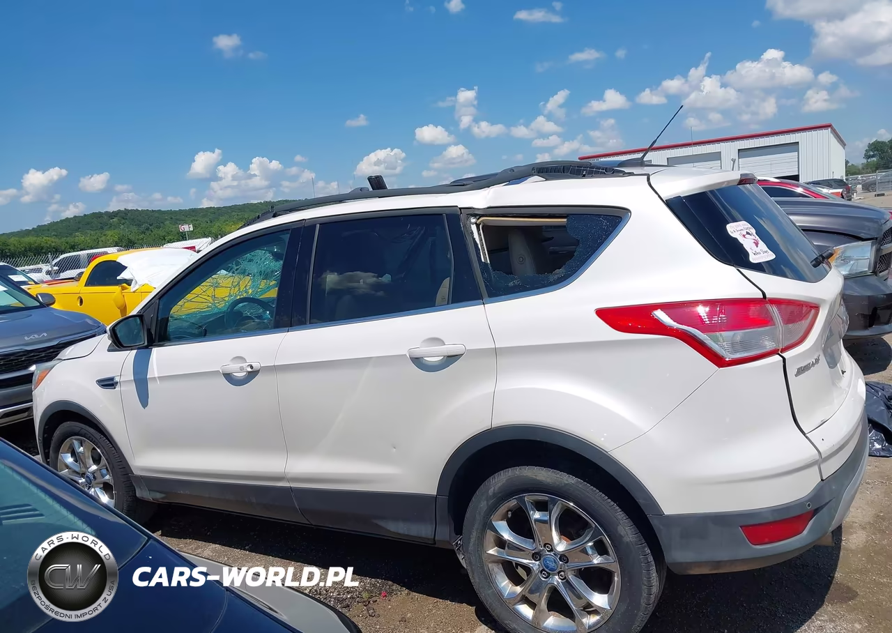 2013 Ford Escape Sel VIN:1FMCU0HX1DUC12502 - 14