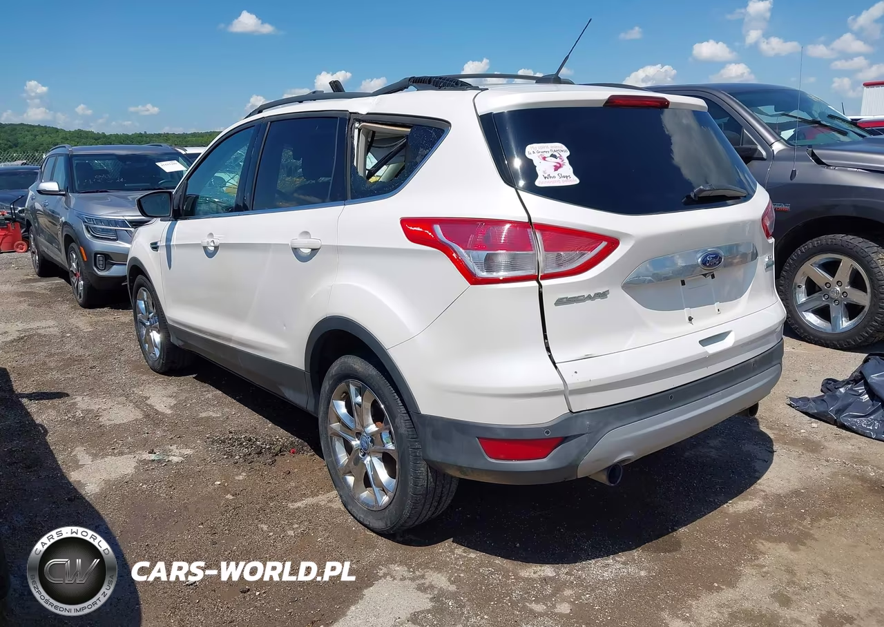2013 Ford Escape Sel VIN:1FMCU0HX1DUC12502 - 3