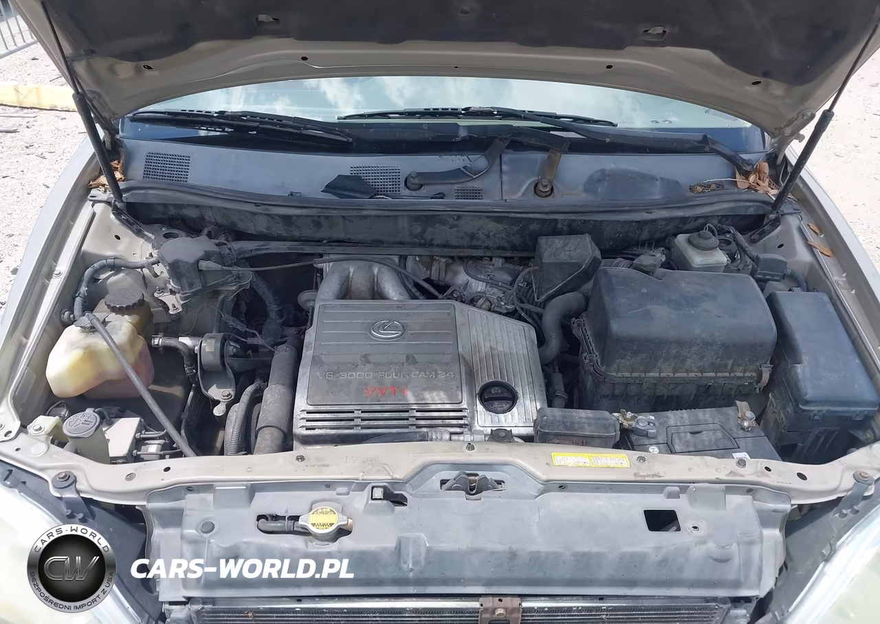 2000 Lexus Rx 300 VIN:JT6GF10U5Y0078458 - 10