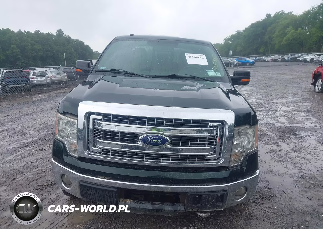 2013 Ford F-150 Fx4-King Ranch-Lariat-Limited-Platinum-Xl-Xlt VIN:1FTFW1ET0DKG15594 - 12