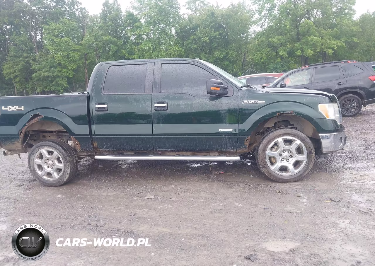2013 Ford F-150 Fx4-King Ranch-Lariat-Limited-Platinum-Xl-Xlt VIN:1FTFW1ET0DKG15594 - 13