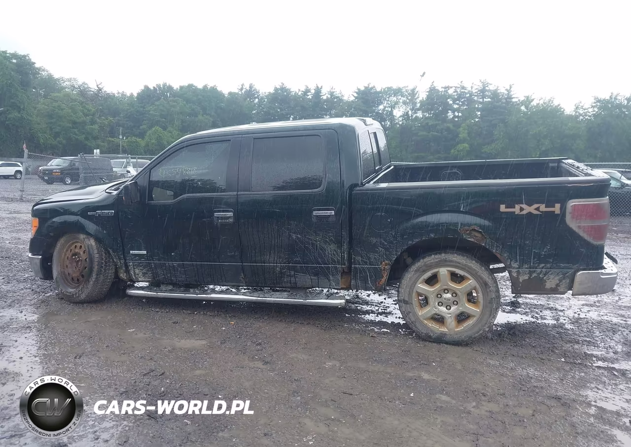 2013 Ford F-150 Fx4-King Ranch-Lariat-Limited-Platinum-Xl-Xlt VIN:1FTFW1ET0DKG15594 - 14