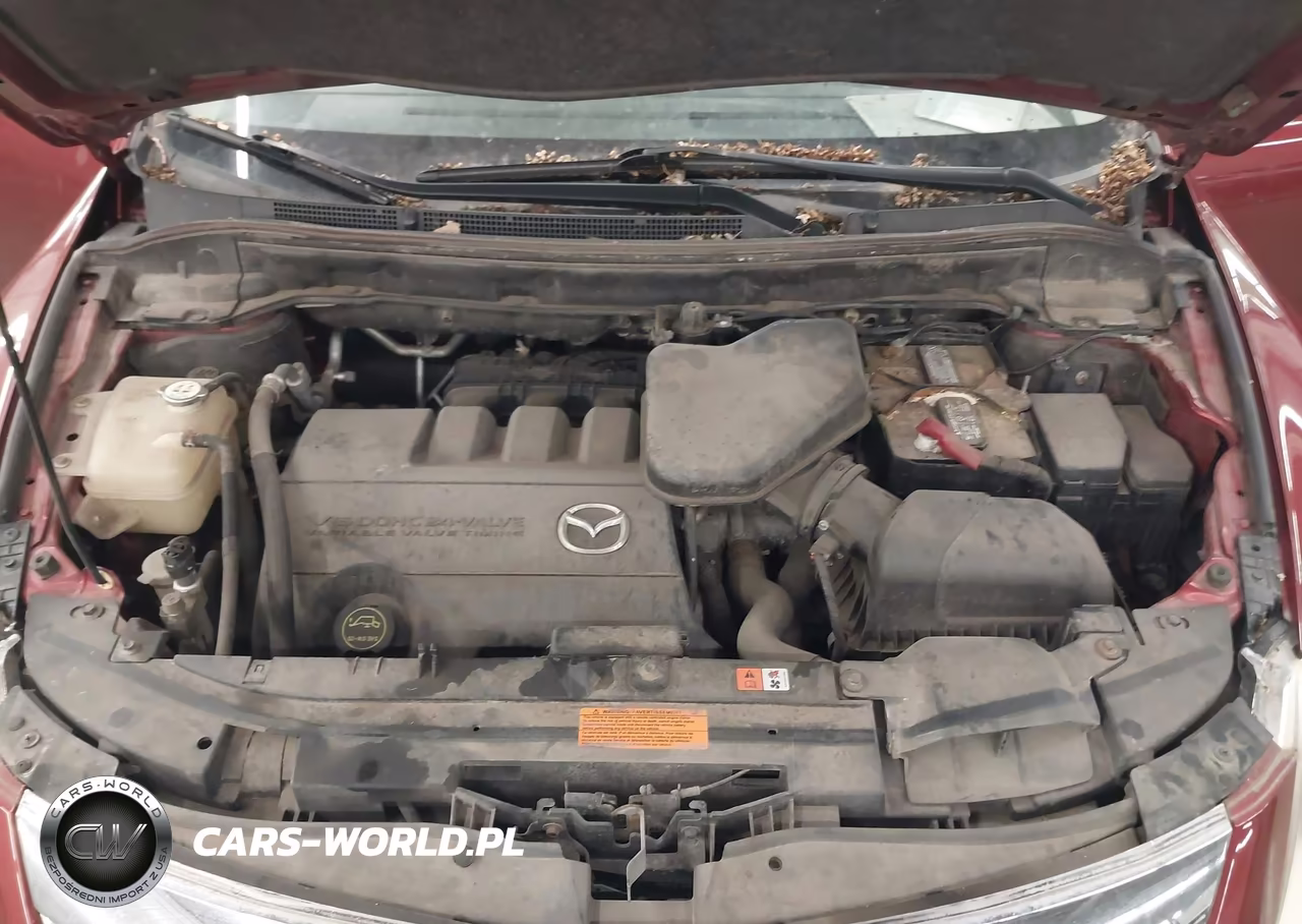 2010 Mazda Cx-9 Touring VIN:JM3TB3MA1A0231557 - 10