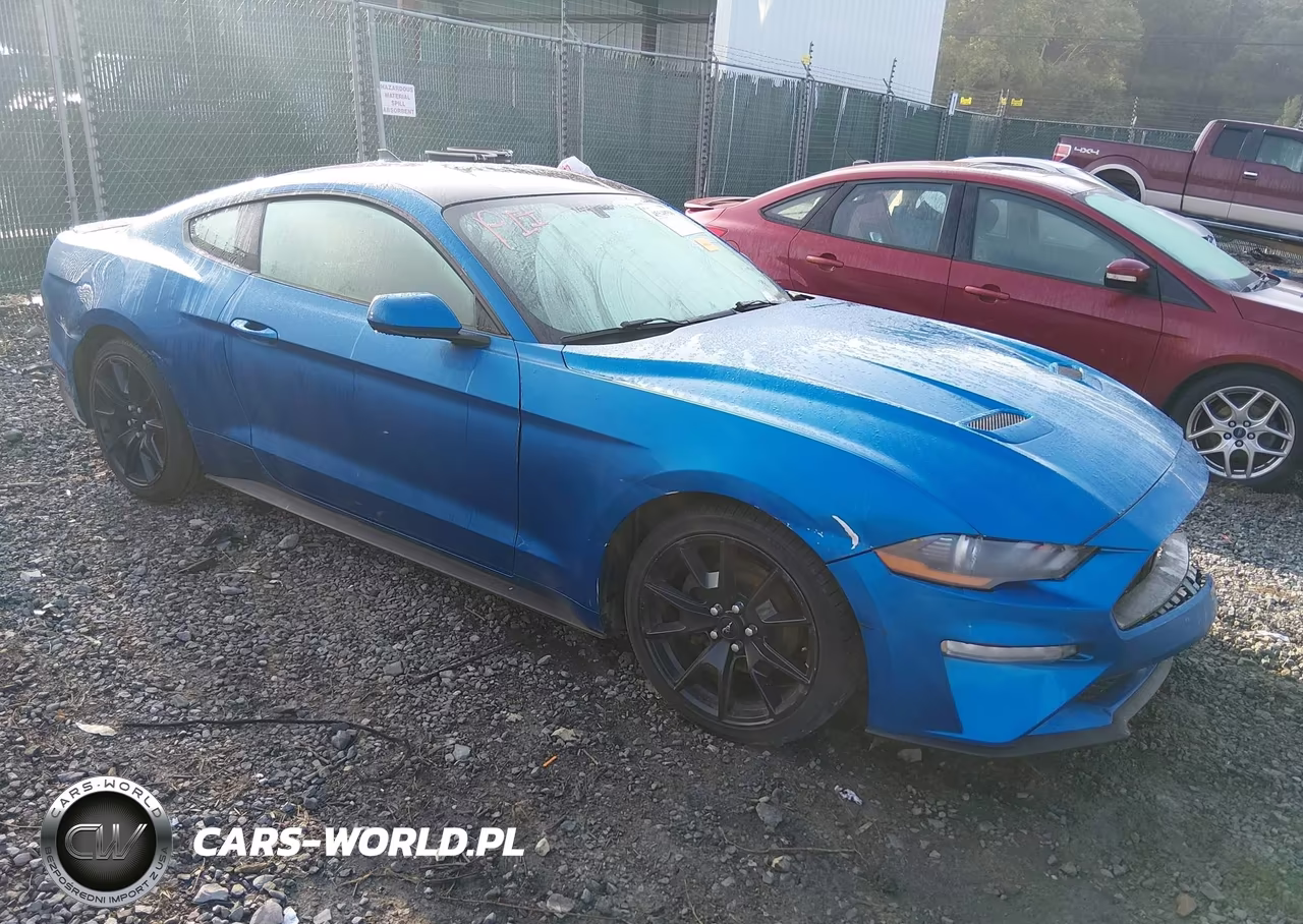 2020 Ford Mustang Ecoboost Fastback – zdjęcie 1 z 17