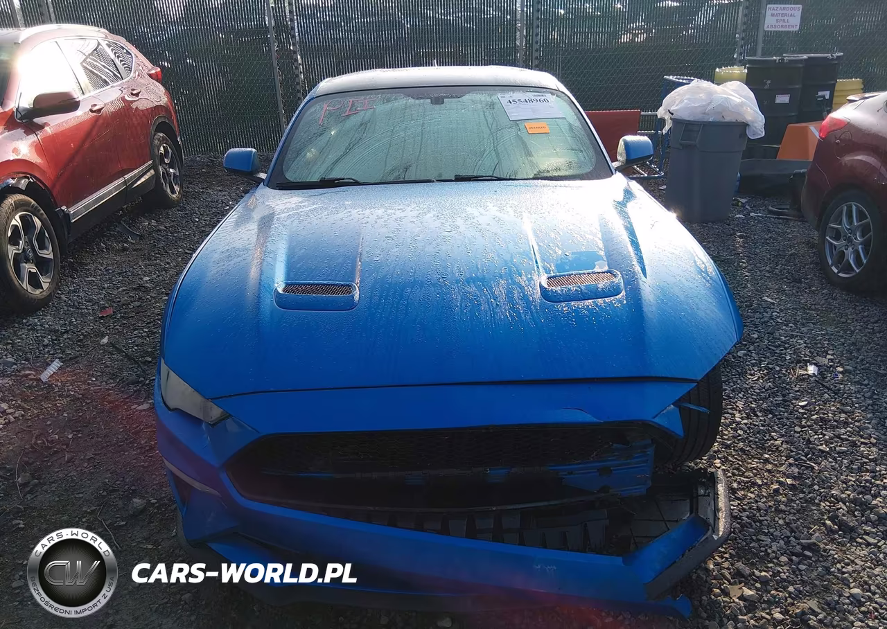 2020 Ford Mustang Ecoboost Fastback VIN:1FA6P8TH3L5175670 - 13