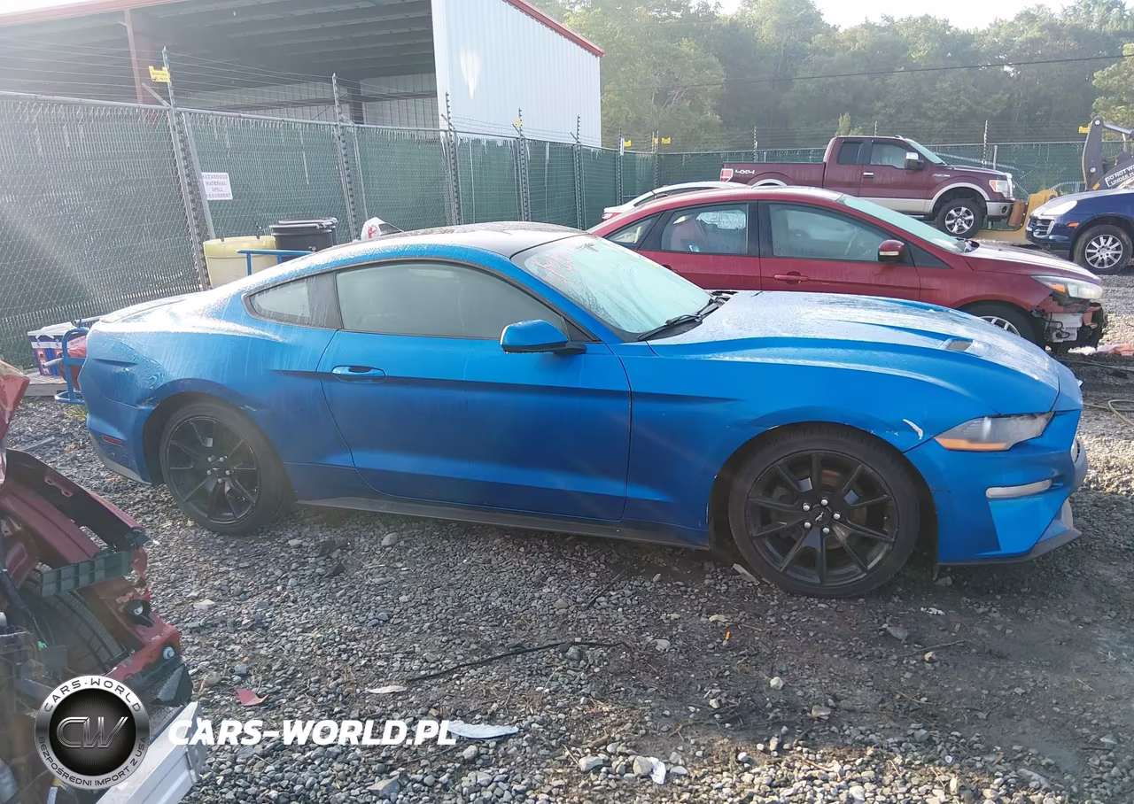 2020 Ford Mustang Ecoboost Fastback VIN:1FA6P8TH3L5175670 - 14