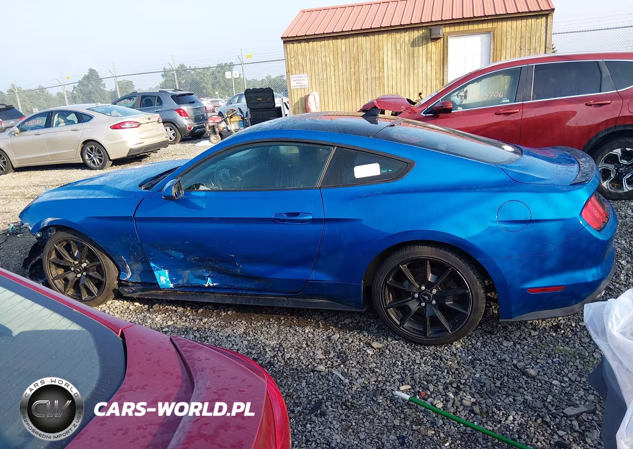 2020 Ford Mustang Ecoboost Fastback VIN:1FA6P8TH3L5175670 - 15