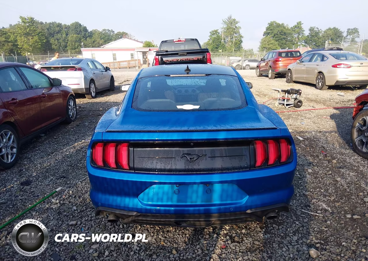 2020 Ford Mustang Ecoboost Fastback VIN:1FA6P8TH3L5175670 - 17