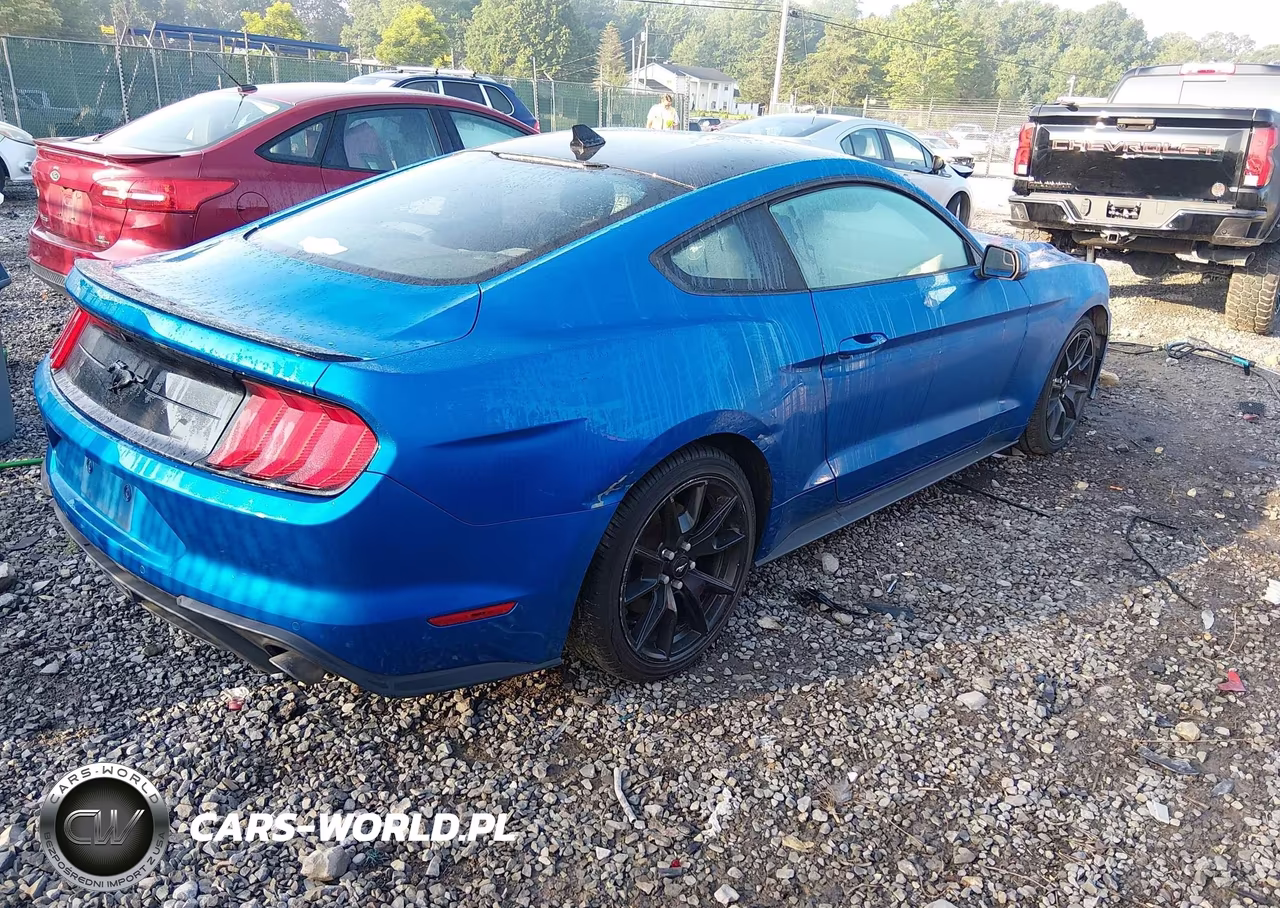 2020 Ford Mustang Ecoboost Fastback VIN:1FA6P8TH3L5175670 - 4