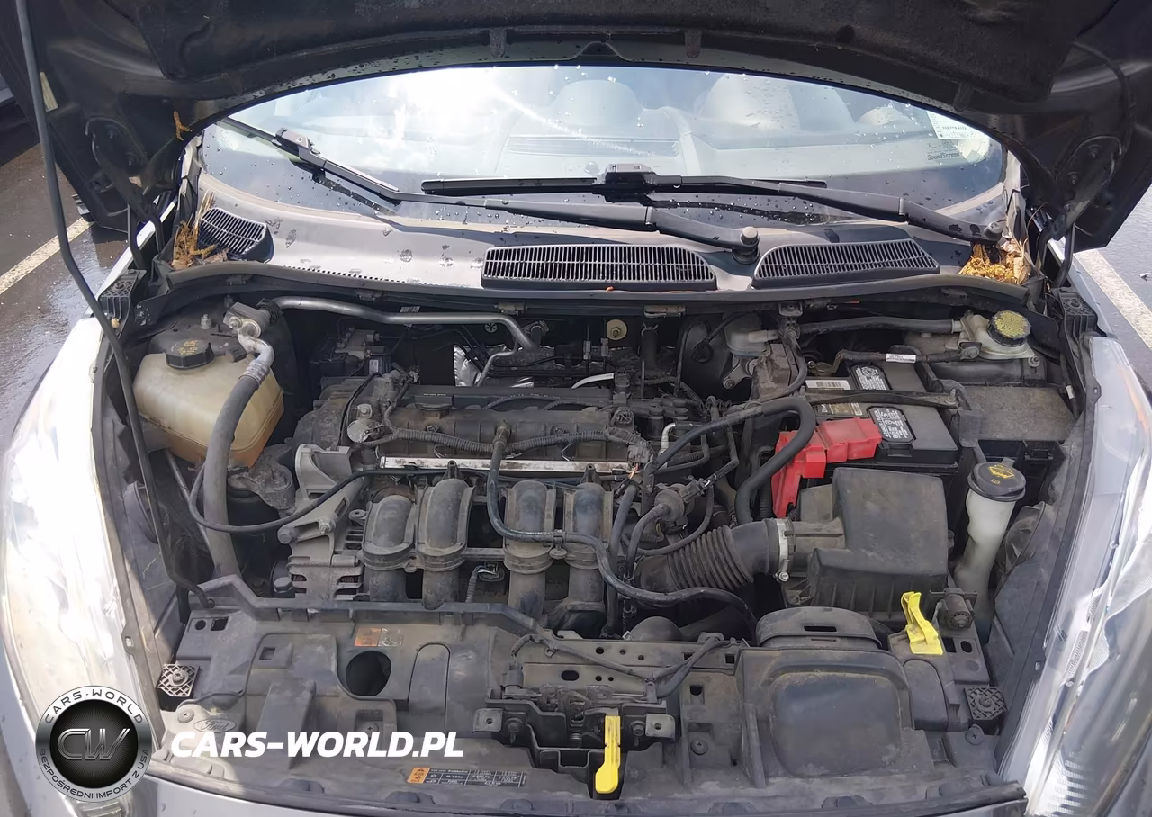 2015 Ford Fiesta Se VIN:3FADP4BJ8FM101938 - 10