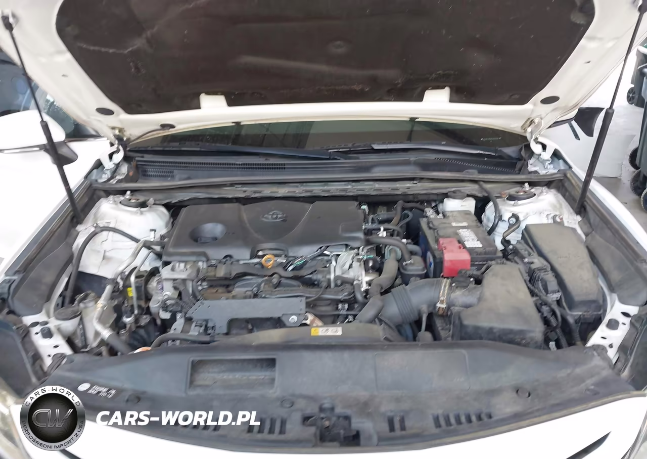 2019 Toyota Camry Se VIN:4T1B11HK8KU166338 - 10