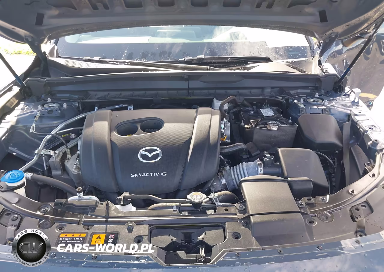 2024 Mazda Cx-50 2.5 S Premium Plus VIN:7MMVABEM6RN159096 - 10