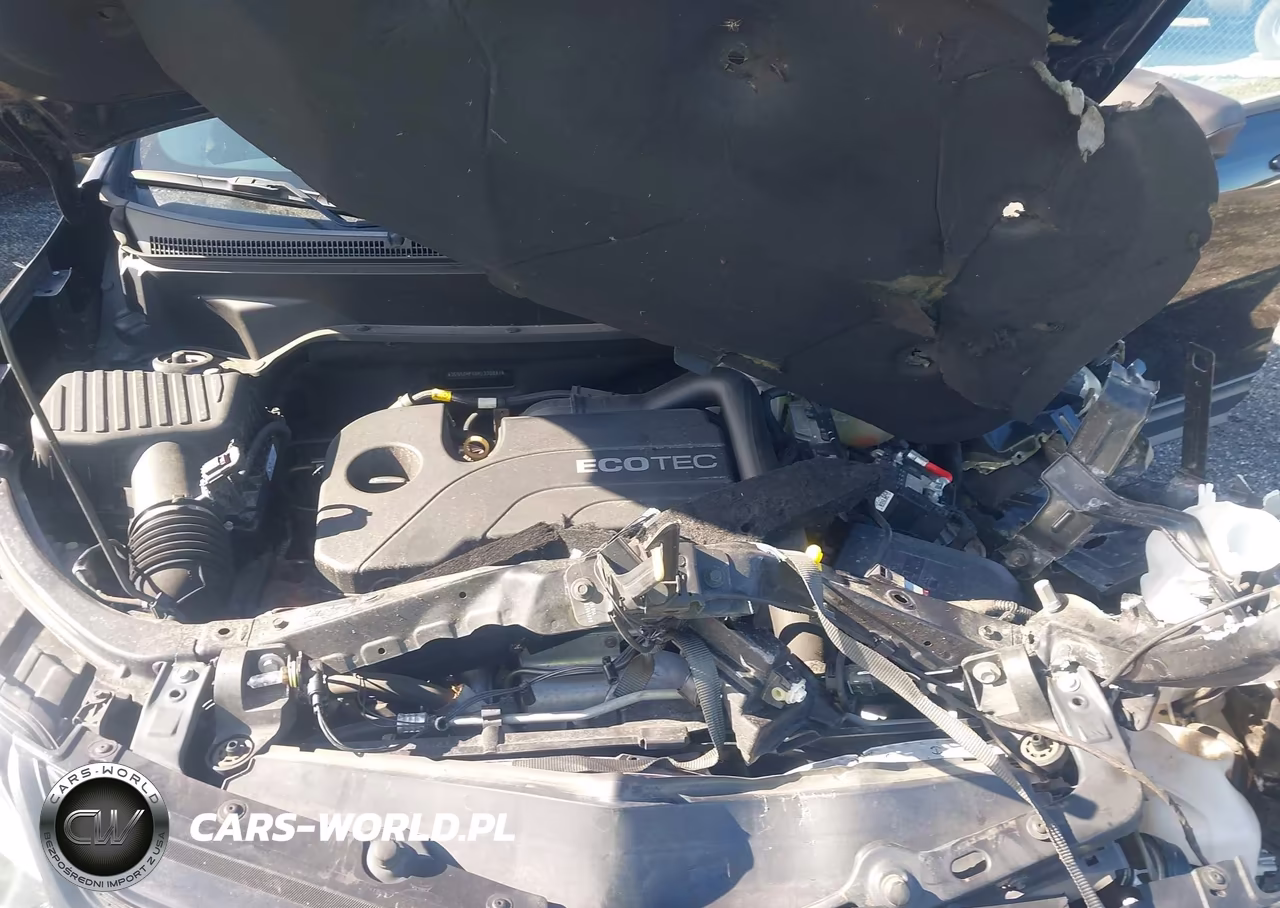 2019 Chevrolet Equinox Ls VIN:3GNAXHEV8KL330887 - 10