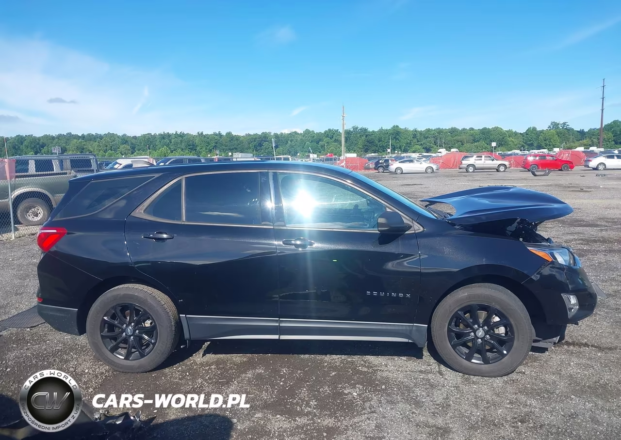 2019 Chevrolet Equinox Ls VIN:3GNAXHEV8KL330887 - 14