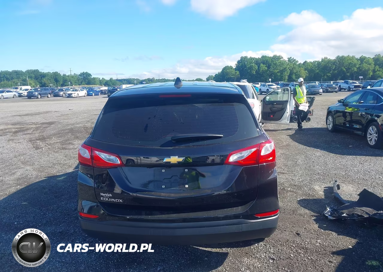 2019 Chevrolet Equinox Ls VIN:3GNAXHEV8KL330887 - 17