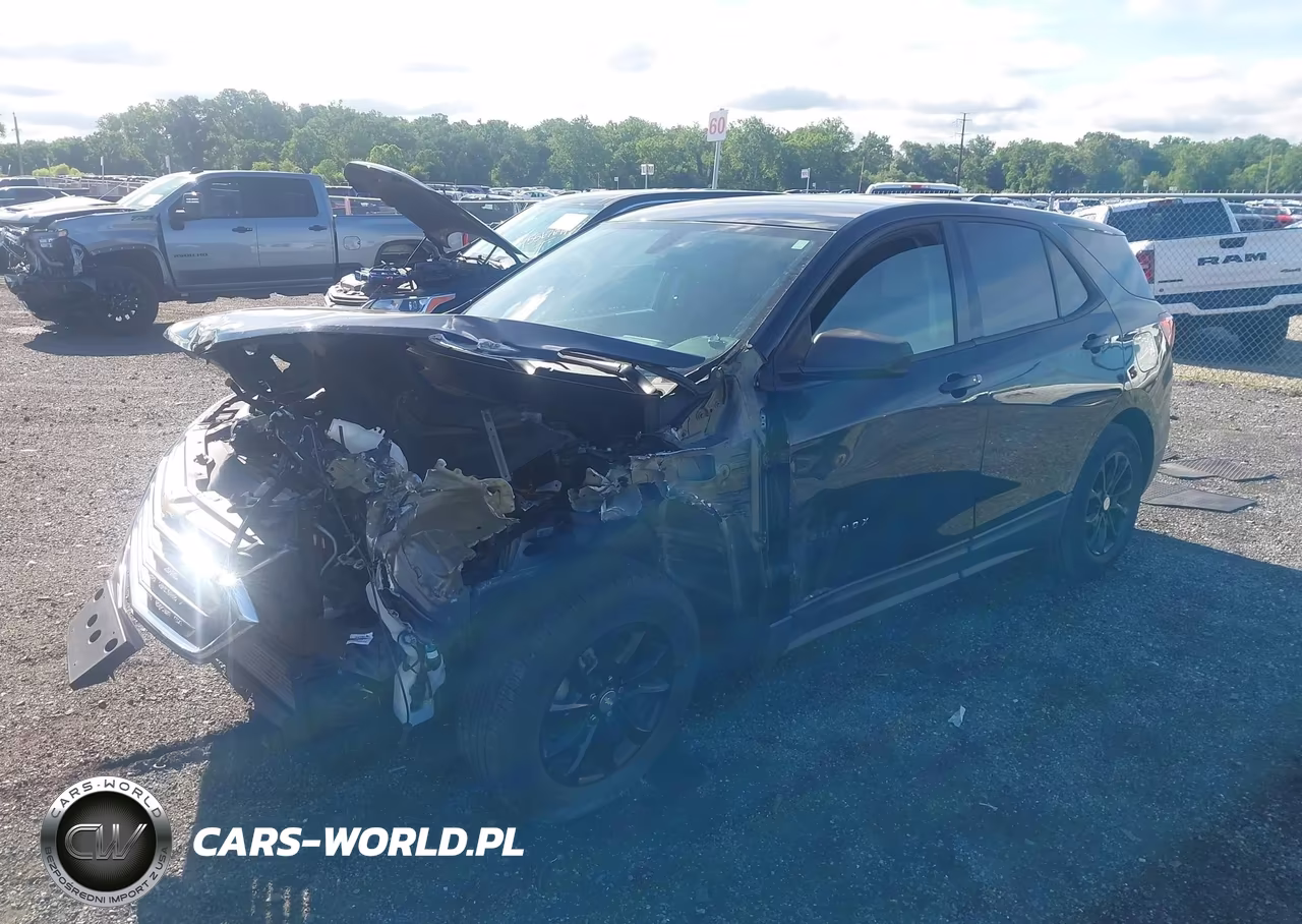2019 Chevrolet Equinox Ls VIN:3GNAXHEV8KL330887 - 2