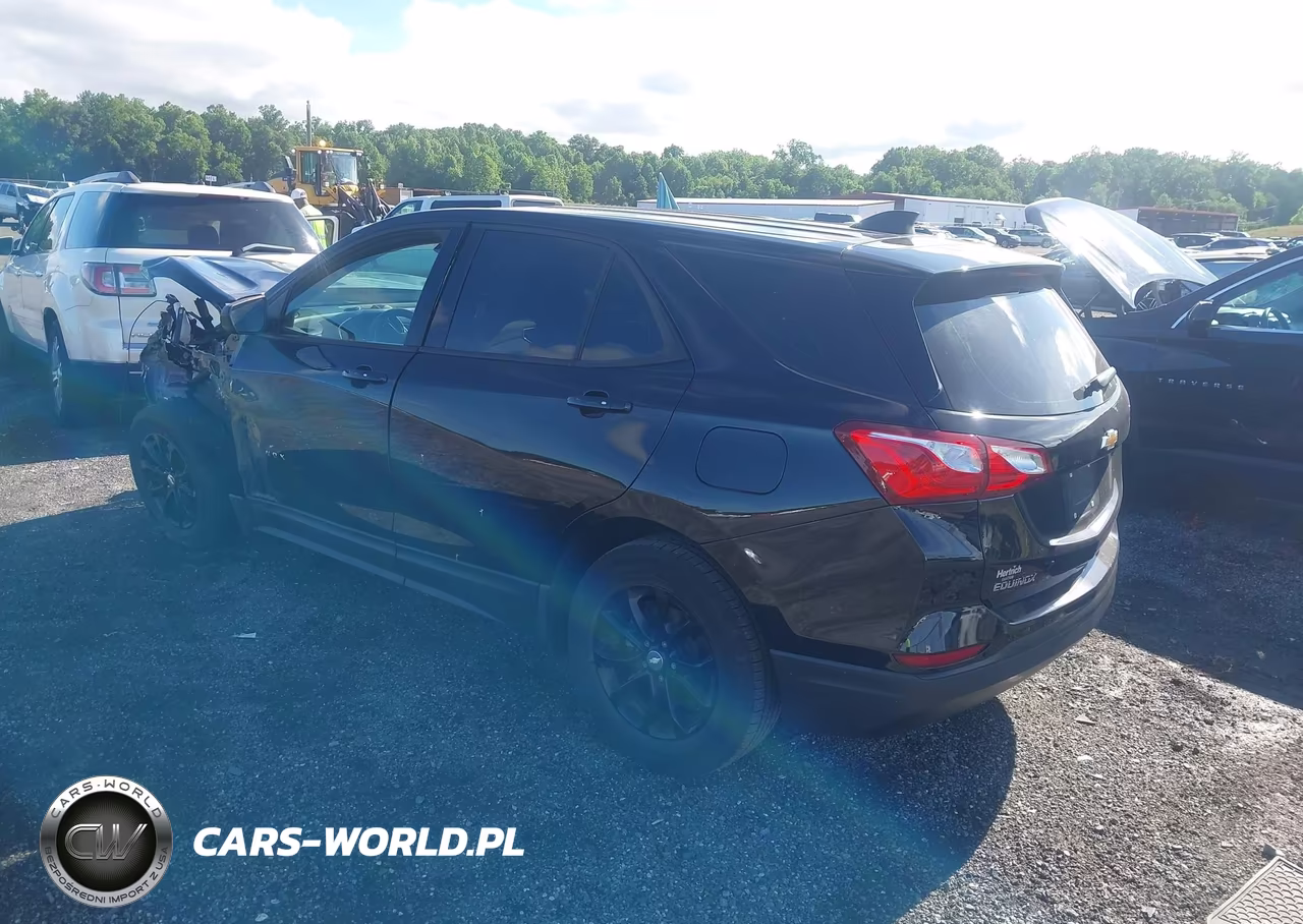 2019 Chevrolet Equinox Ls VIN:3GNAXHEV8KL330887 - 3