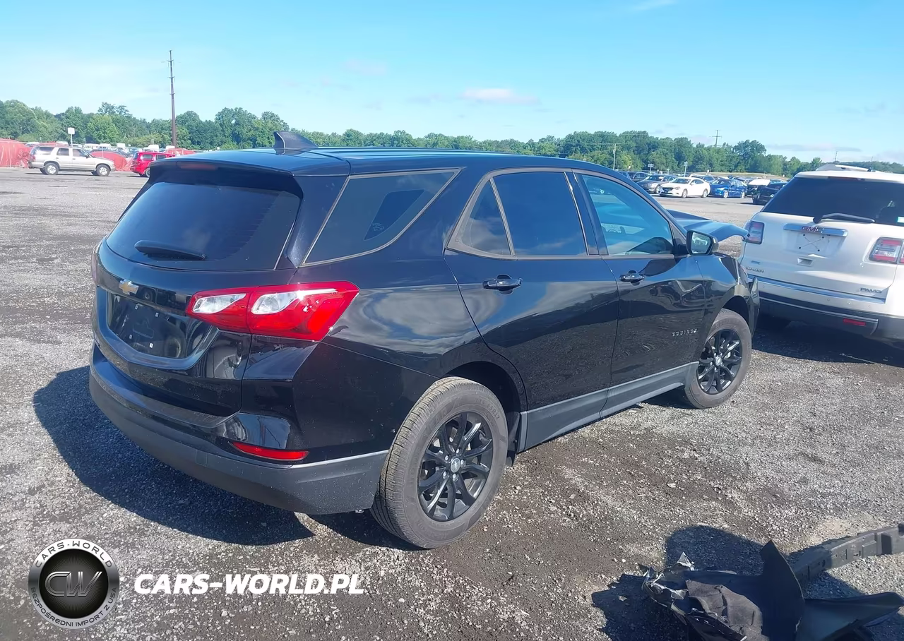 2019 Chevrolet Equinox Ls VIN:3GNAXHEV8KL330887 - 4
